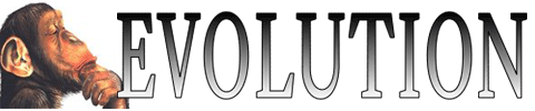 Evolution